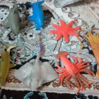 اسباب بازی|اسباب‌بازی بچه|مشهد, ارشاد|دیوار