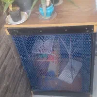 معاوضه|لوازم جانبی حیوانات|شیراز, شهرک گلستان|دیوار