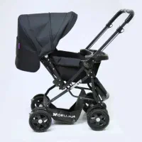 کالسکه دلیجان|کالسکه و لوازم جانبی|مهاباد (آذربایجان غربی), |دیوار