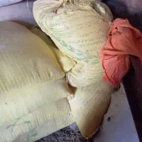 جو دیم|خوردنی و آشامیدنی|بیرانوند, |دیوار