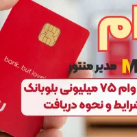 پرداخت یک روزه بدون ضامن