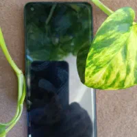 گوشی a21s
