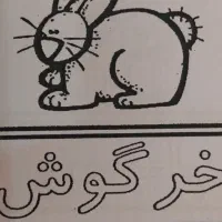 یک عدد خرگوش پیداشده نشانی بدید ببرید