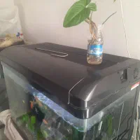 اکواریوم ۸۰سانتی شیشه خم همرا بادرب|ماهی|اصفهان, عطار نیشابوری|دیوار