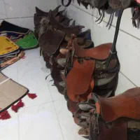 تجهیزات اسب