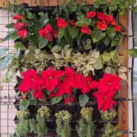 باغبانی باغچه سم کود هرس گلدان آپارتمانی