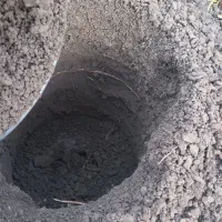 خدمات چاله کنی|خدمات باغبانی و درختکاری|نقده, |دیوار