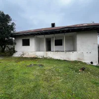 870مترکلنگی-دوبر-باانشعابات-جنگلی-بر-آسفالت