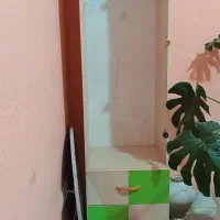 فروشی سالمه سالم