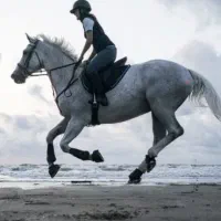 کارگر و مهتر اصطبل سوارکاری