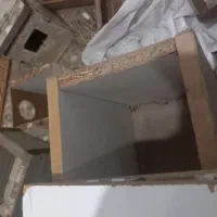 عروس پاریس و عروس هلندی