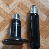 لامپ شب خزندگان