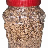 غذای پرندگان .طوطی سانان