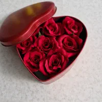 باکس گل|گل مصنوعی|سیرجان, |دیوار