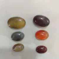 باباقوری|کلکسیون و سرگرمی|دهج, |دیوار