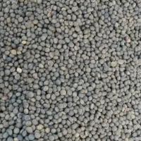 سیاه دانه گاودانه قارادنه
