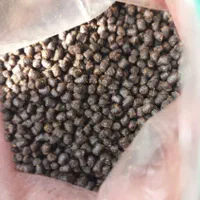 آرتمیا غذای گوپی ماهی دیسکس گلدفیش فایتر زبرا|ماهی|تهران, تهرانسر شرقی|دیوار