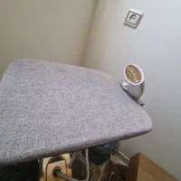 اتو بخار ایستاده