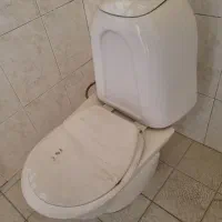 توالت فرنگی و روشور