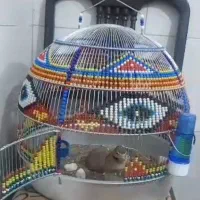 قفس سهره، طرقه ،چکاوک، دست بافت