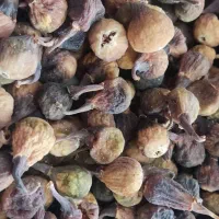 انجیرکوهی خشک شده دست چین درجه یک