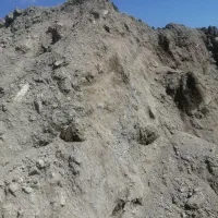 گل سرخ قرمز خیلی خوب