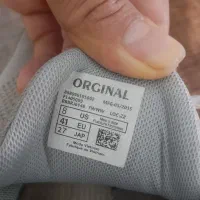 کفش اسپرت|کیف، کفش، کمربند|پرند, فاز ۶|دیوار