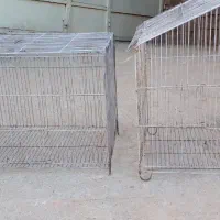 قفس|لوازم جانبی حیوانات|مسجد سلیمان, |دیوار