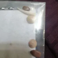 انگشتر بابهترین سنگ