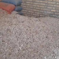 تخم پنبه مخصوص دامداری و گاوداری