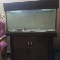 آکواریوم بزرگ