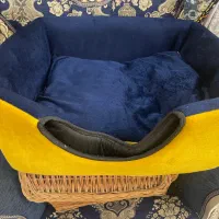 جای خواب سگ و گربه|لوازم جانبی حیوانات|تهران, کرمان|دیوار