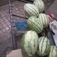 میز مناسب تره بار