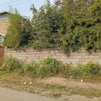 فروش زمین ۵۰۰ متری سوستان