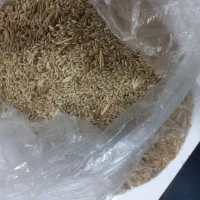 فروش بذر کتان