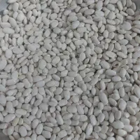 لوبیاسفید|خوردنی و آشامیدنی|کنگاور, |دیوار