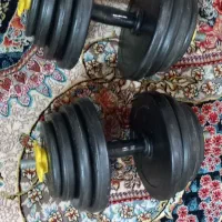 دمبل ده کیلویی یک جفت