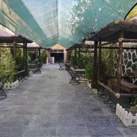 استخدام/آشپز کبابی/ شاطر سنگک /باغ رستوران|استخدام خدمات فروشگاه و رستوران|پرند, فاز ۲|دیوار