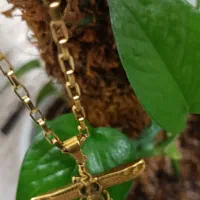 گردنی فروهر