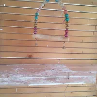 قفس پرنده|لوازم جانبی حیوانات|بم, |دیوار