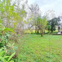 ویلا جزیره|فروش زمین و ملک کلنگی|رشت, گلسار|دیوار