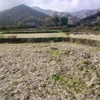 پلاسی روستای