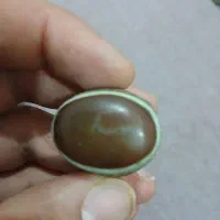 انگشتر موکل  فعال توافقی