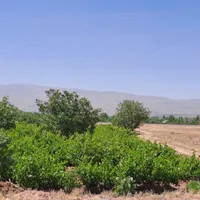 باغ انگور به همراه خانه باغ، ۲/۵ساعت تا تهران|فروش خانه و ویلا|تهران, ارم|دیوار