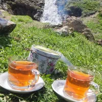 راننده شخصی