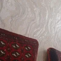 پشتی|پشتی|تربت جام, میان جام|دیوار