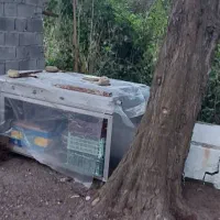 فر ۲ طبقه پیتزا و کباب پز|کافیشاپ و رستوران|نوشهر, |دیوار