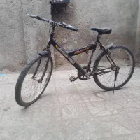 دوچرخه خوش رکاب|دوچرخه، اسکیت، اسکوتر|تربت جام, والفجر|دیوار