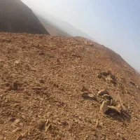 فروش یاپیمانکاری محدوده سنگ چینی فیروزه ای نهبندان|مصالح و تجهیزات ساختمان|اصفهان, مرداویج|دیوار