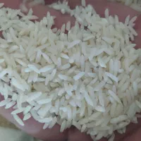 فروش عمده برنج ایرانی خوش عطر و تازه|خوردنی و آشامیدنی|ورامین, ورامین|دیوار